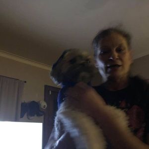 Meet your Posher, Connie